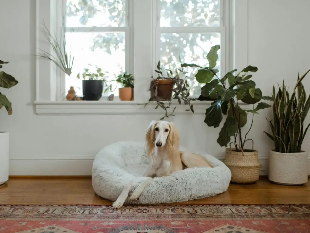 PetFusion Ultimate Dog Bed (Large)