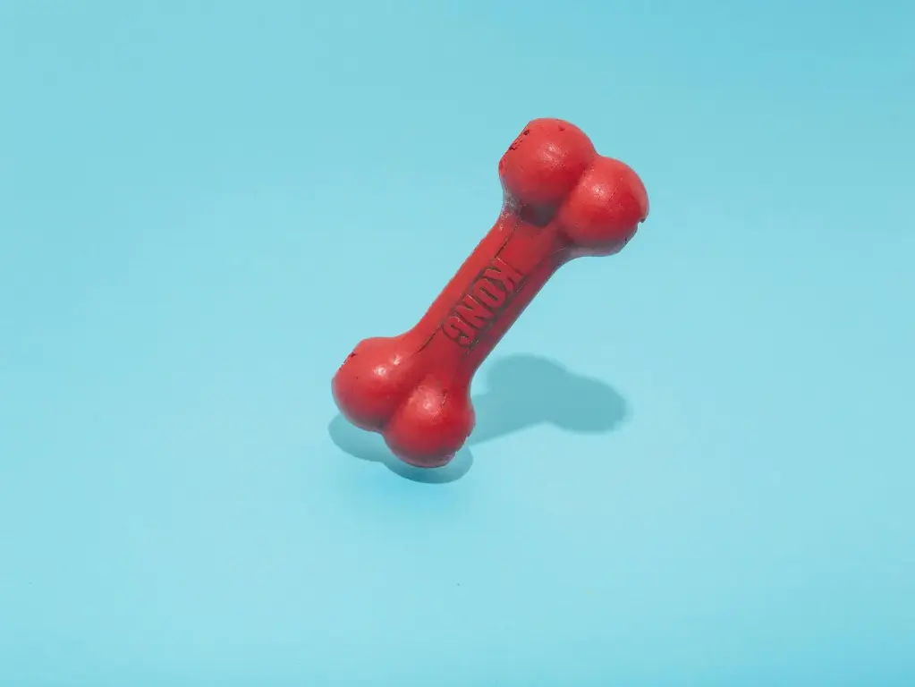 KONG Classic Dog Toy (Medium)