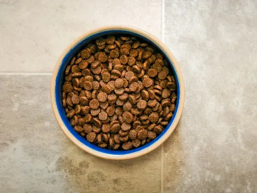 ORIJEN Original Dry Dog Food (2kg)