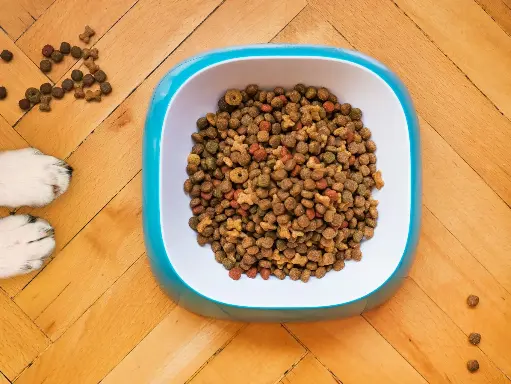 Hill's Science Diet Adult Chicken Recipe (1.8kg)