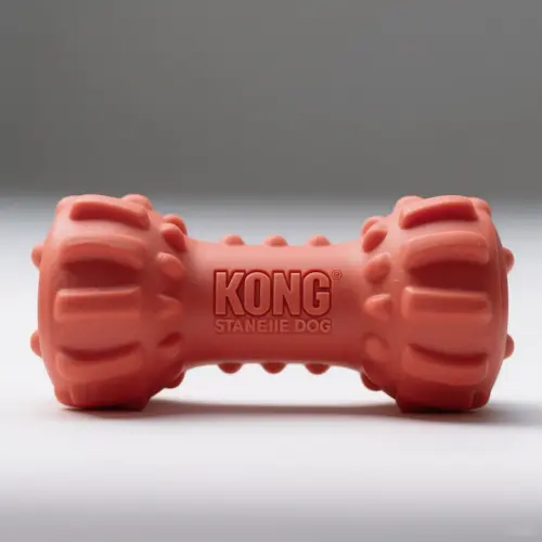 KONG 標準款狗玩具（中號）