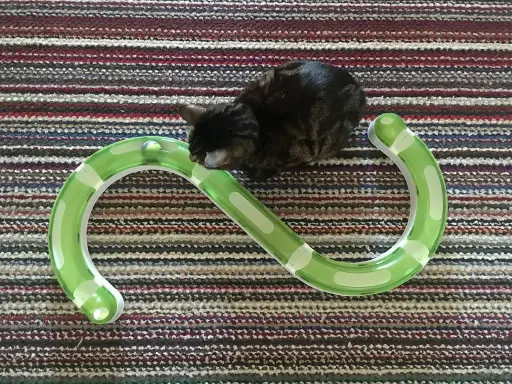 Catit Design Senses Play Circuit
