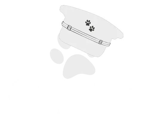 Captain Paw Limited